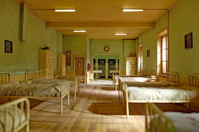 Female Shared Dormitory - 1 of 4 beds
